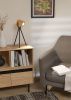 Настольная лампа Eglo Ayles (Аылес) 43749