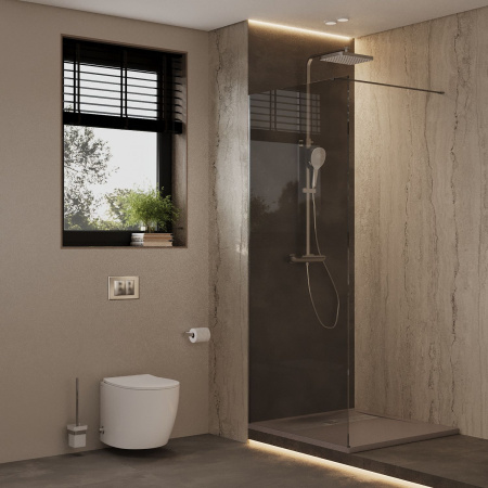 Душевая перегородка Allen Brau Infinity 3.21016.BBA.T 100х200 стекло тонированное профиль черный