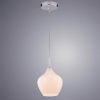 Светильник подвесной Arte Lamp Bicchiere (Биццхиере) A4283SP-1CC