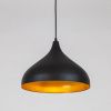 Светильник подвесной Arte Lamp Carmel (Цармел) A7076SP-1BK