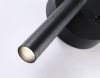 Светильник настенный Ambrella Light LineTech (ЛинеТецх) FL66385
