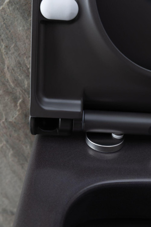 Чаша унитаза подвесная Allen Brau Priority 4.31001.AN цвет черный без сиденья безободковая каскадный смыв