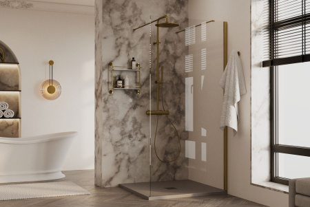 Душевая перегородка Allen Brau Infinity 3.21043.BA 120х200 стекло прозрачное профиль серебро брашированное