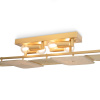 Светильник потолочный Freya Säffle (Саффле) FR5572CL-04G