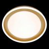 Люстра потолочная Natali Kovaltseva LED LAMPS (ЛЕД ЛАМПС) LED LAMPS 81301