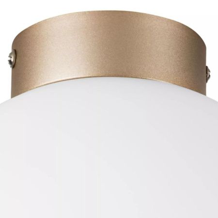 Светильник потолочный Lightstar Globo (Глобо) 812023
