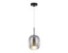Светильник подвесной Ambrella Light Modern (Модерн) LH11123