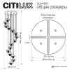 Люстра потолочная Citilux Signature (Сигнатуре) CL247057