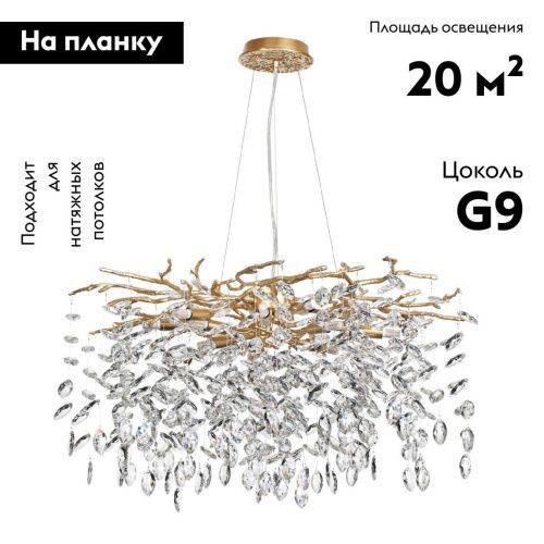 Люстра подвесная Odeon Light Delica (Делица) 4969/10 - фото 2