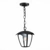 Уличный подвесной светильник ST Luce Sivino (Сивино) SL081.403.01
