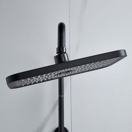 Душевая стойка Raffine F3696H настенная цвет черный
