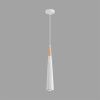 Светильник подвесной Lumion Eoliana (Еолиана) 8352/1C
