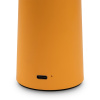 Настольная лампа аккумуляторная Freya Mushroom (Гриб) FR6109TL-L4OR