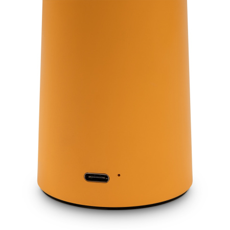 Настольная лампа аккумуляторная Freya Mushroom (Гриб) FR6109TL-L4OR