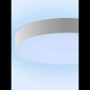 Светильник потолочный Natali Kovaltseva Modern (Модерн) LED LAMPS 81105/2C