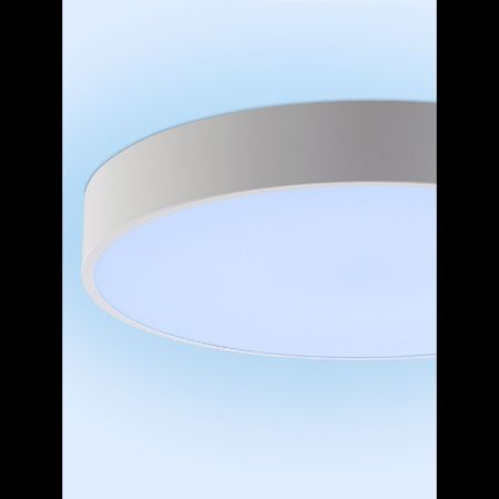 Светильник потолочный Natali Kovaltseva Modern (Модерн) LED LAMPS 81105/2C