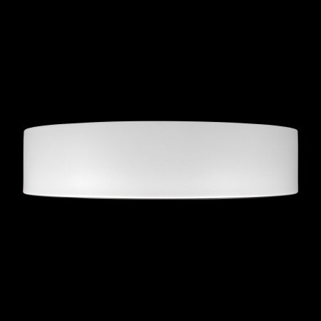Светильник потолочный Loft It Coin 10202 WB