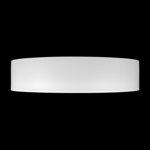 Светильник потолочный Loft It Coin 10202 WB - фото 5