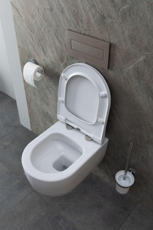 Чаша унитаза подвесная Allen Brau Priority 4.31002.20 цвет белый без сиденья безободковая каскадный смыв