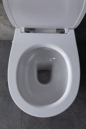 Чаша унитаза подвесная Allen Brau Fantasy 4.11HC1.20 цвет белый без сиденья безободковая каскадный смыв