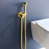Гигиенический душ со смесителем RGW Shower Panels (Шоувер панелс) 581408211-06 золото