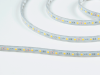 Светодиодная лента SWG Standard SWG560 00-00014782