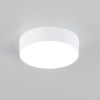 Светильник накладной Citilux Тао CL712120N