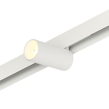 Трековый магнитный светильник Myfar Ray (Раы) MT0220-12W3K-W