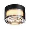 Настенно-потолочный светильник Odeon Light Ronda (Ронда) 7157/6CL