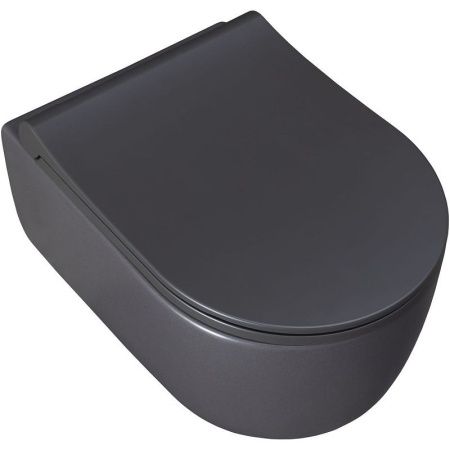 Чаша унитаза подвесная Allen Brau Priority 4.31002.AN цвет черный без сиденья безободковая каскадный смыв