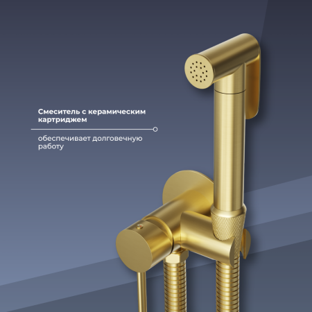 Гигиенический душ со смесителем RGW Shower Panels (Шоувер панелс) 581408211-06 золото