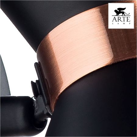 Спот Arte Lamp Baltimore (Балтиморе) A1406AP-1BK
