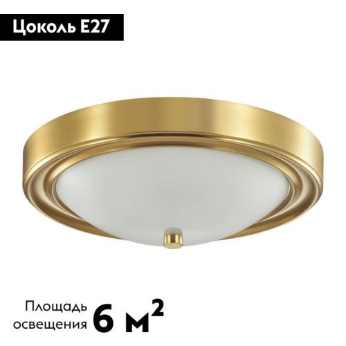 Настенно-потолочный светильник Lumion Vintage (Винтаге) 5259/2C - фото 2
