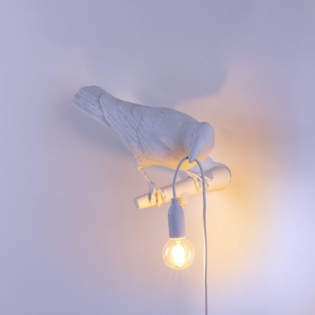 Светильник настенный Seletti Bird Lamp (Бирд Ламп) 14721