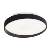 Светильник потолочный Freya Pass (Пасс) FR6222CL-L84B