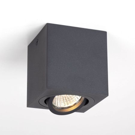 Светильник накладной Citilux Дюрен CL538213