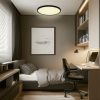 Светильник накладной Citilux Basic Line (Басиц Лине) CL738321VL