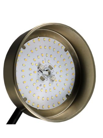 Люстра на штанге Zortes Lunar (Лунар) ZRS.01243.06