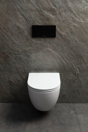 Чаша унитаза подвесная Allen Brau Priority Tornado 4.31009.20 цвет белый без сиденья безободковая душевой смыв