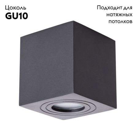 Светильник накладной Arte Lamp Galopin (Галопин) A1461PL-1BK