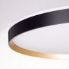 Светильник потолочный музыкальный Citilux Etalon (Еталон) CL750501R
