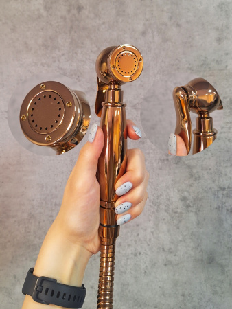 Гигиенический душ со смесителем AltroBagno Beatrice AltroBagnoBeatrice060114ROr розовое золото