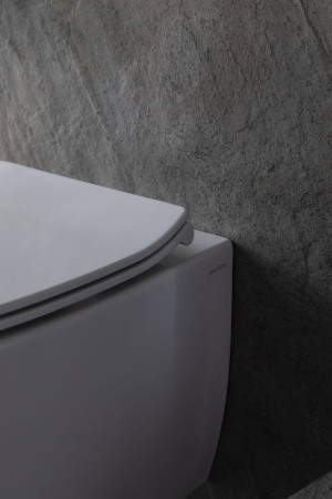 Чаша унитаза подвесная Allen Brau Fantasy 4.11HC1.20 цвет белый без сиденья безободковая каскадный смыв