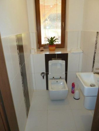 Чаша унитаза подвесная Creavit Trend TP324-00CB00E-0000 цвет белый без сиденья душевой смыв