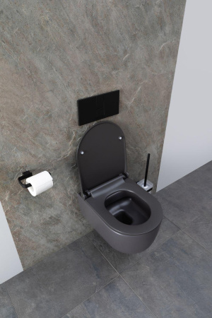 Чаша унитаза подвесная Allen Brau Priority 4.31002.AN цвет черный без сиденья безободковая каскадный смыв