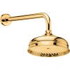 Верхний душ Webert Armony AC0015010 20х20 золото