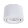 Светильник накладной Arte Lamp Unito (Унито) A2260PL-1WH