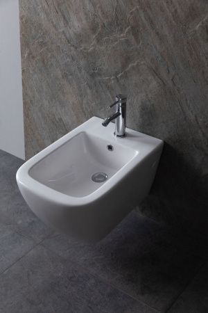 Биде подвесное Allen Brau Infinity 4.21006.20 цвет белый