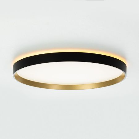 Светильник потолочный музыкальный Citilux Etalon (Еталон) CL750401R