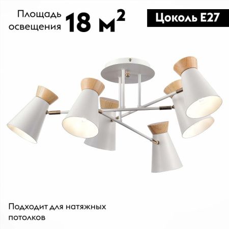 Люстра потолочная Evoluce Alfeo (Алфео) SLE1252-502-06